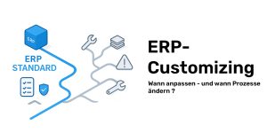 Beitragsbild-ERP-Standard-Customizing
